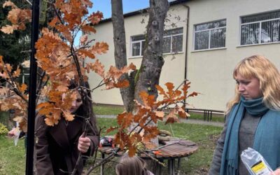 Осінь у кадрі: флористи коледжу працюють над новою декорацією