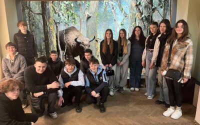 Заняття в музеї: еко-подорож для справжніх дослідників